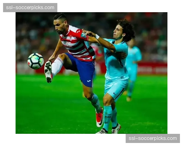 通讯:走过黑夜——记录格拉纳达球迷在球队可能降级赛季的不离不弃。 通讯:走过黑夜——记录格拉纳达球迷在球队可能降级赛季的不离不弃。